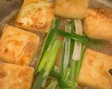 《好料日記》方寸之間之蔥燒豆腐的食譜步驟2照片