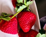 Foto del paso 1 de la receta: Smoothie de fresa con colágeno