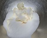 Foto del paso 4 de la receta: 94. Galletas Fantasmas