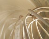 Foto del paso 1 de la receta: Helado de dulce de leche