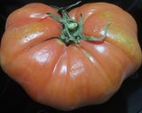 Foto del paso 3 de la receta: Tomates rellenos de atún
