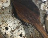 A picture of step 2 of Paneer sabzi biryani.