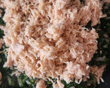 Foto del paso 3 de la receta: Pollo deshebrado con espinacas a la crema