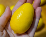 Foto del paso 1 de la receta: Kumquat limón y kumquat naranja deshidratados