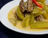 Foto langkah ke 5 dari resep Tomat Hijau Masak Santan.
