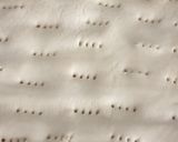 Foto del paso 3 de la receta Empanada de pisto y atún