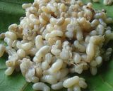 รูปขั้นตอนการทำที่ 1 ของ ไข่เจียวทรงเครื่อง ไข่มดแดง