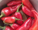 લાલ મરચા નું અથાણું (Red Chilli Pickle Recipe In Gujarati) રેસીપી સ્ટેપ1ફોટો