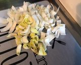 Une image de l'étape 3 de Salade de jeunes endives aux tomates, feta grecque et persil (sauce au miel et cidre).