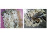 Foto langkah ke 1 dari resep *Dadar Gulung Ubi Ungu*.