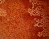 Foto del paso 1 de la receta: Hummus de lentejas rojas con aceite de cáñamo y Agua de Mar