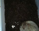 Foto langkah ke 1 dari resep Bolu kukus oreo simple cuma 2 bahan aja.