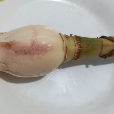 Langkah 1
