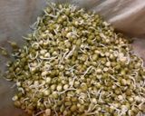 A picture of step 1 of Mung Bean Sprouts & Curd Kebab/ Ankurit Moong aur Dahi ke kebab.