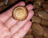 صورة لخطوة 7 من وصفة حلوة الطابع ولا الطورنو 💜🤎