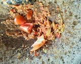 Foto langkah ke 2 dari resep Nila Bumbu Terasi.