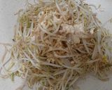 Foto langkah ke 3 dari resep Crunchy Tauge.