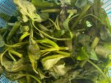 Tumis kangkung pedas pake terasi