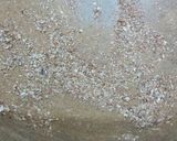 A picture of step 2 of Chicken Malai handi.