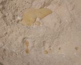 Glutén-, tej-, tojás-, cukor-, élesztőmentes kakaós kalács recept fázis 1 fotója