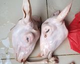 Foto langkah ke 1 dari resep Sop Kaki Kambing Kuah Susu.