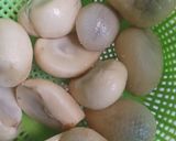 Foto langkah ke 1 dari resep Setup Salak.