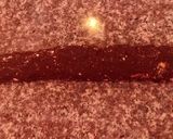 Foto del paso 4 de la receta: Salchichón de chocolate
