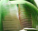A picture of step 3 of Bánh tét Wrapped Like Bánh Chưng.