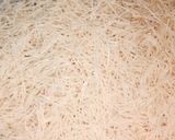 A picture of step 1 of Jave.