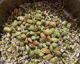 Hyacinth Bean Valor/ Indian Papadi beans, sprouts and peas rice recipe step 1 photo