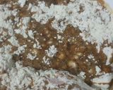 Foto langkah ke 2 dari resep Bolu Kukus Milo Gulmer.