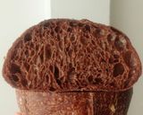 Foto langkah ke 22 dari resep Basic Chocolate Sourdough Bread (88%).