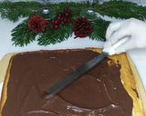 Une image de l'étape 10 de Recette bûche de Noël chocolat et noisette.