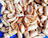 Foto langkah ke 6 dari resep Kacang Goreng Kupas.