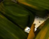 Foto langkah ke 5 dari resep Pais Jamur Bakar.