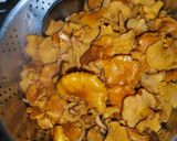 Zupa grzybowa "kurki" z makaronem krok przepisu 1 zdjęcie