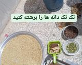 عکس مرحله 6 از دستور قاووت هخامنشی