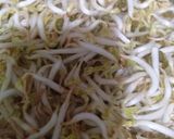 Foto langkah ke 1 dari resep Ketoprak Betawi.