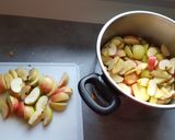 Une image de l'étape 2 de Gelée de pommes à la vanille.