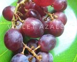 Foto langkah ke 12 dari resep MPASI Cara Memberikan Buah Anggur Pada Bayi.