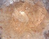 A picture of step 2 of Chicken bread batatay.