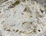 Foto del paso 2 de la receta: Snickerdoodles (galletas de azúcar)