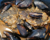 Foto del paso 3 de la receta: 28. Rodaballo en salsa marinera con mejillones