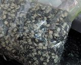A picture of step 1 of உளுத்தம் பருப்பு சாதம்.