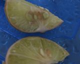 A picture of step 2 of Lemon rooh Afza.