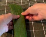 Foto langkah ke 6 dari resep Pepes Pindang Daun Singkong.