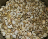 Foto del paso 2 de la receta: Caracoles receta de mi madre