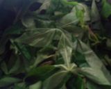 Foto langkah ke 2 dari resep Tumis sayur pahit.