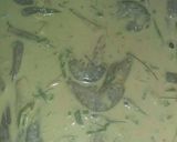 Foto langkah ke 1 dari resep Rakik/peyek udang.