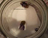 Foto del paso 2 de la receta: Azúcar de violeta